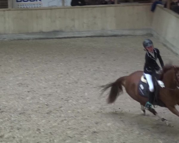 Reitturnier Heidelberg-Kirchheim 2016