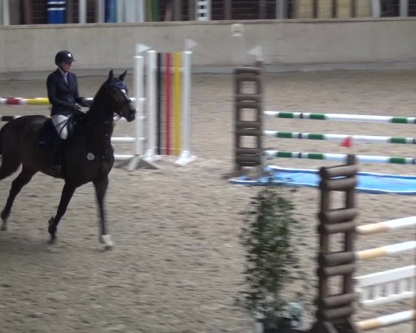 Reitturnier Heidelberg-Kirchheim 2016