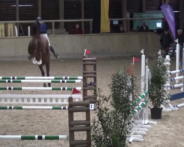 Reitturnier Heidelberg-Kirchheim 2016