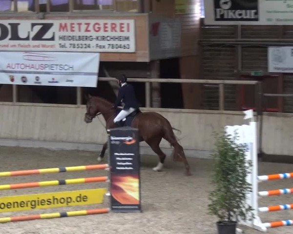 Reitturnier Heidelberg-Kirchheim 2016