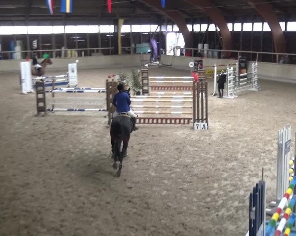 Reitturnier Heidelberg-Kirchheim 2016