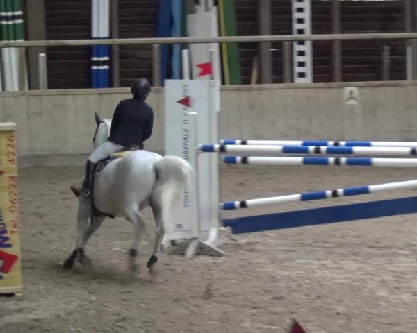 Reitturnier Heidelberg-Kirchheim 2016