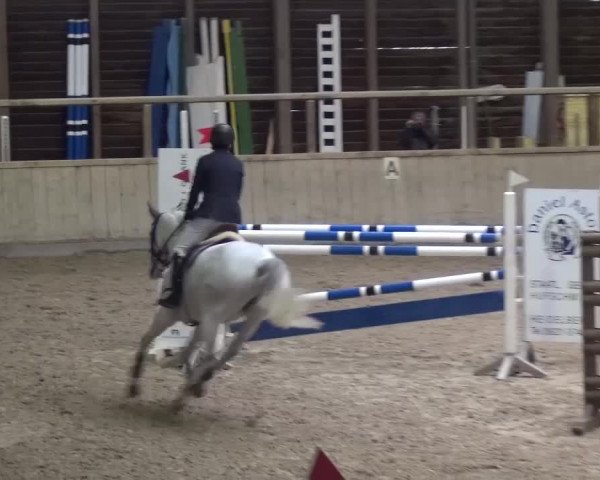 Reitturnier Heidelberg-Kirchheim 2016