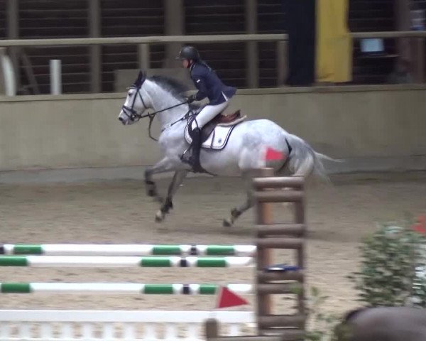Reitturnier Heidelberg-Kirchheim 2016