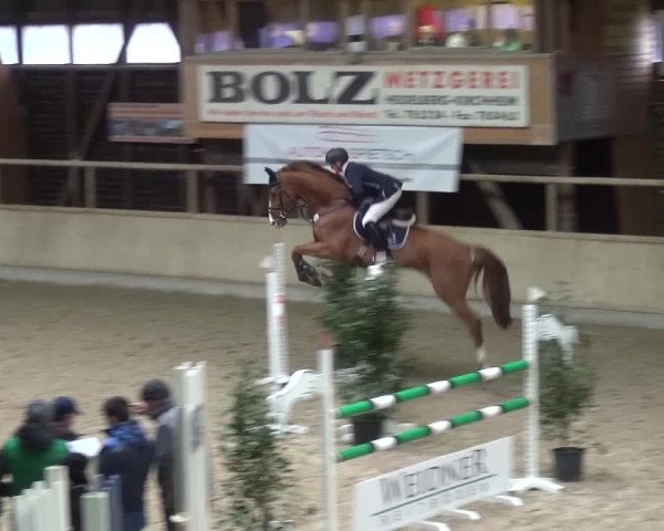 Reitturnier Heidelberg-Kirchheim 2016
