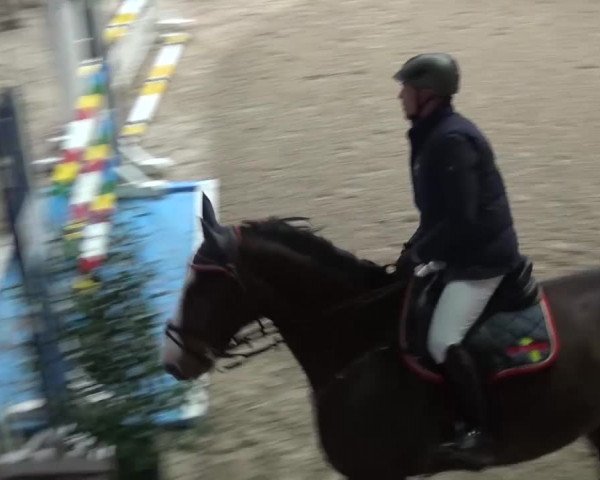 Reitturnier Heidelberg-Kirchheim 2016