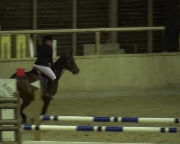Reitturnier Heidelberg-Kirchheim 2016