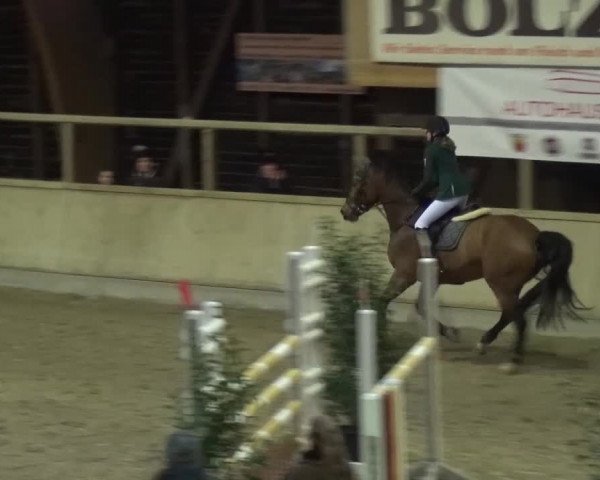 Reitturnier Heidelberg-Kirchheim 2016