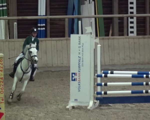 Reitturnier Heidelberg-Kirchheim 2016
