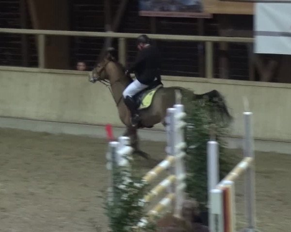 Reitturnier Heidelberg-Kirchheim 2016