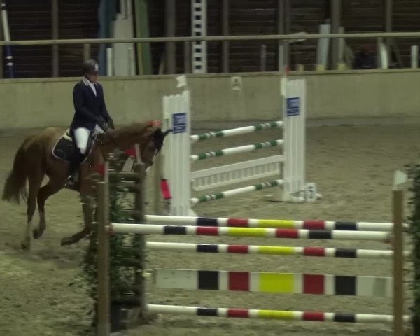 Reitturnier Heidelberg-Kirchheim 2016