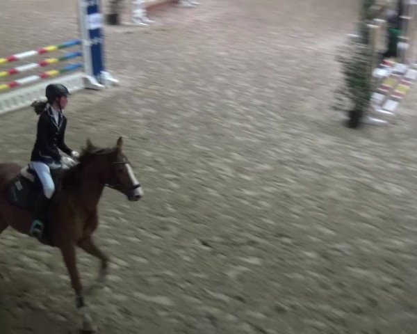 Reitturnier Heidelberg-Kirchheim 2016