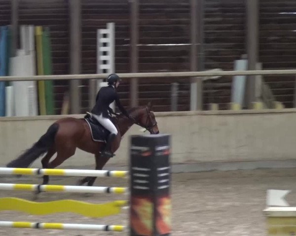 Reitturnier Heidelberg-Kirchheim 2016