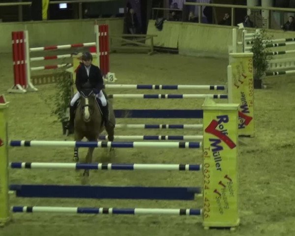 Reitturnier Heidelberg-Kirchheim 2016