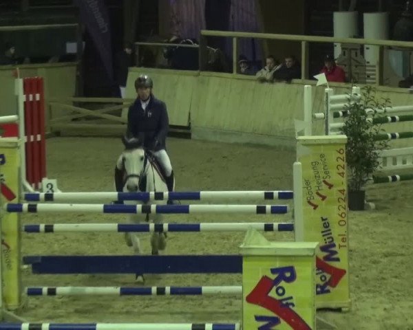 Reitturnier Heidelberg-Kirchheim 2016