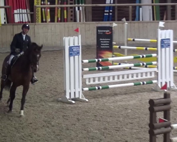 Reitturnier Heidelberg-Kirchheim 2016