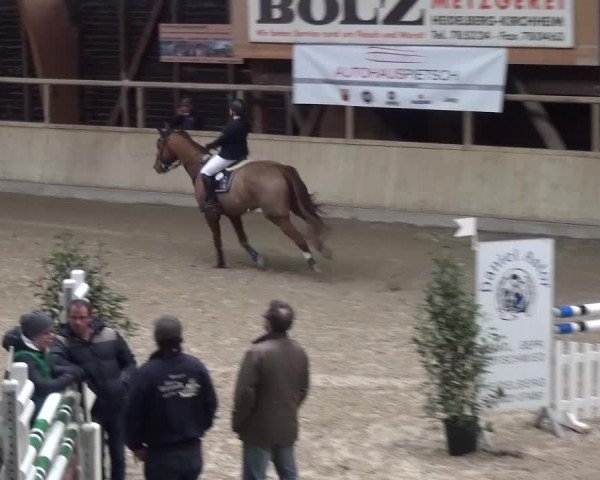 Reitturnier Heidelberg-Kirchheim 2016