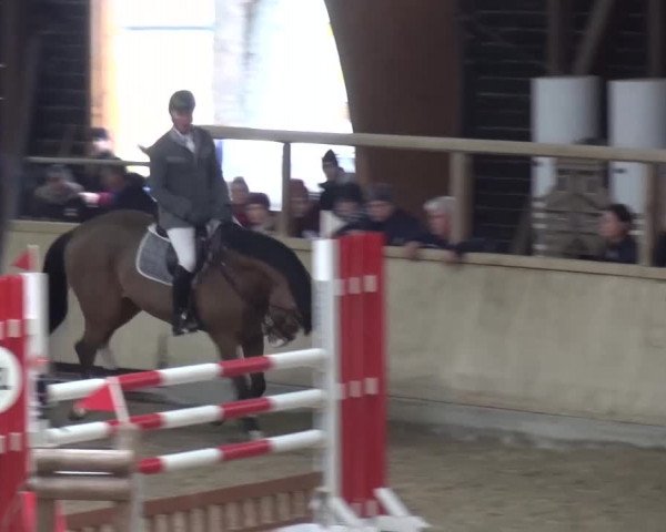 Reitturnier Heidelberg-Kirchheim 2016