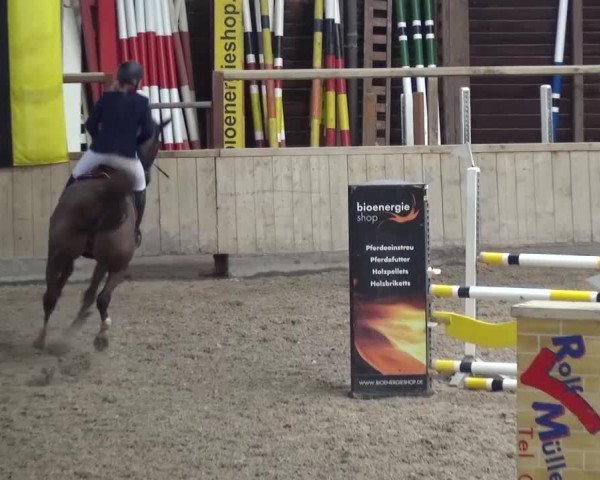 Reitturnier Heidelberg-Kirchheim 2016