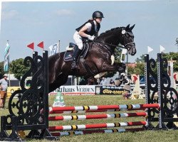 dressage horse F³rst Figo (Hanoverian, 2010, from Fürst Nymphenburg)