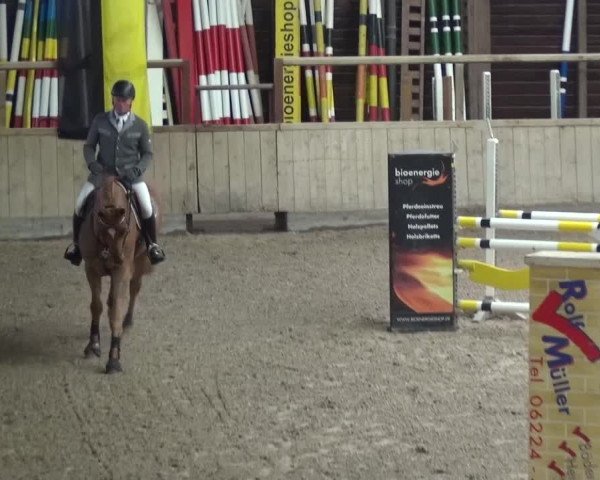 Reitturnier Heidelberg-Kirchheim 2016