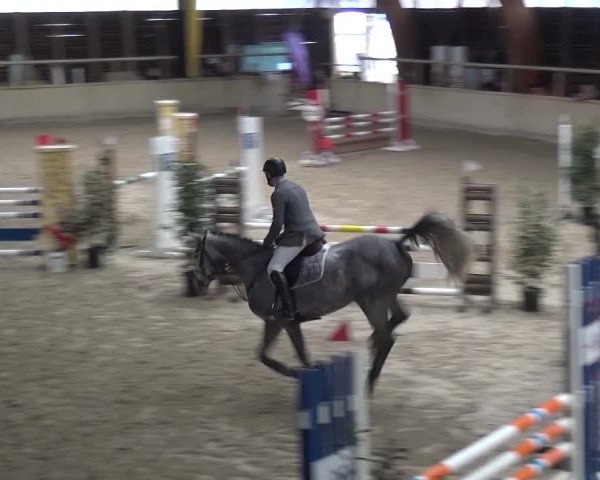 Reitturnier Heidelberg-Kirchheim 2016