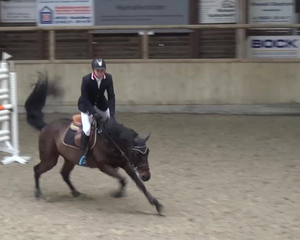 Reitturnier Heidelberg-Kirchheim 2016