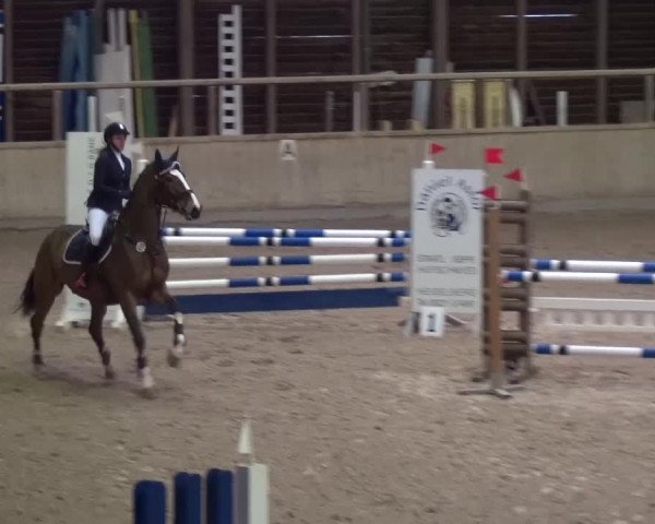 Reitturnier Heidelberg-Kirchheim 2016