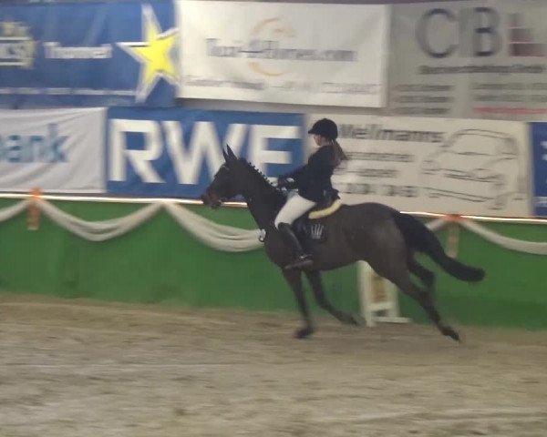 Keppelner Springfestival 2016