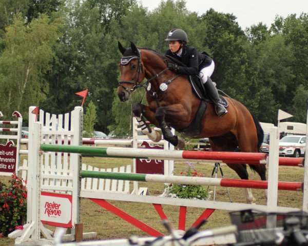 jumper Casstillo (Hanoverian, 2010, from Canstakko)
