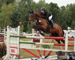 jumper Casstillo (Hanoverian, 2010, from Canstakko)