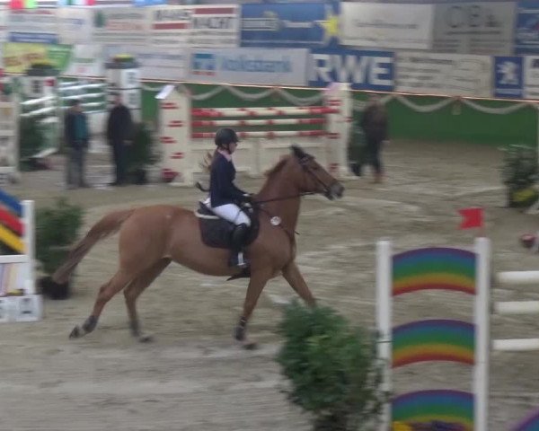 Keppelner Springfestival 2016