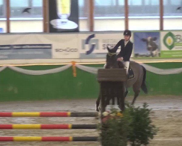 Keppelner Springfestival 2016