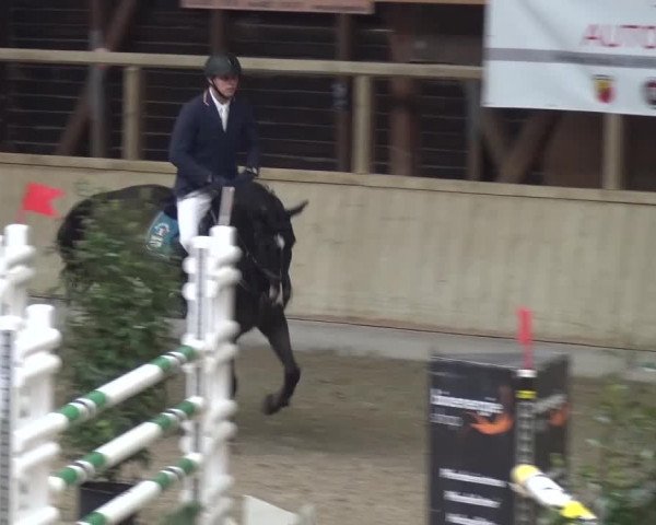 Reitturnier Heidelberg-Kirchheim 2016
