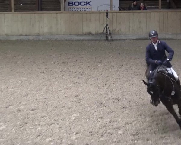 Reitturnier Heidelberg-Kirchheim 2016