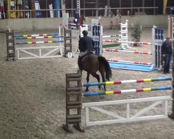 Reitturnier Heidelberg-Kirchheim 2016