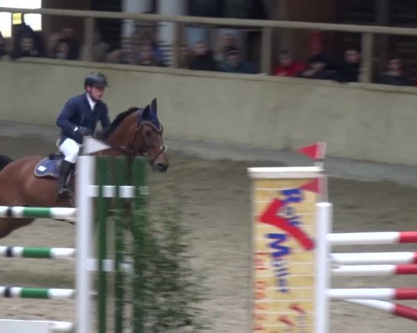 Reitturnier Heidelberg-Kirchheim 2016