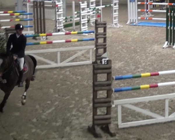 Reitturnier Heidelberg-Kirchheim 2016