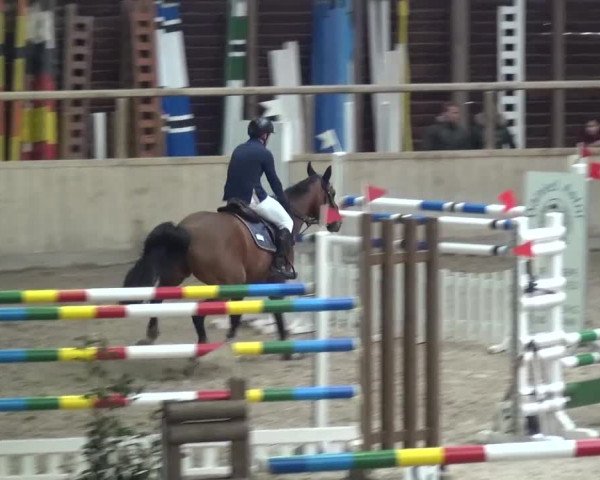 Reitturnier Heidelberg-Kirchheim 2016