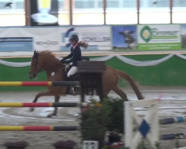 Keppelner Springfestival 2016