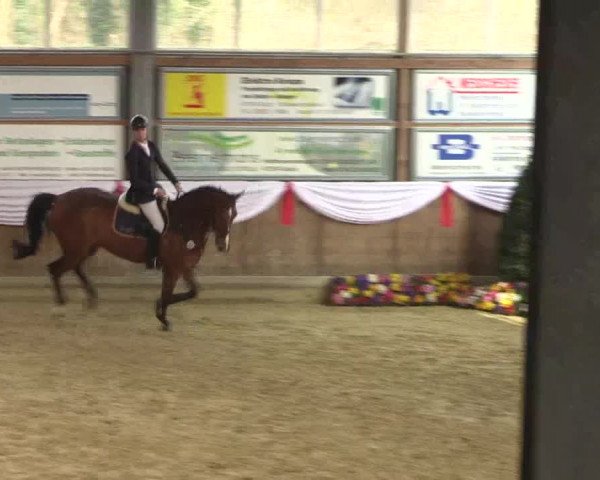 Reitturnier Goch 2016
