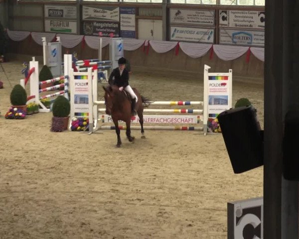 Reitturnier Goch 2016