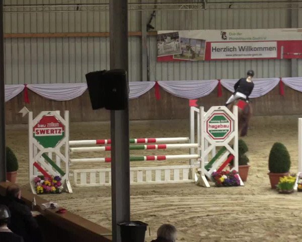 Reitturnier Goch 2016