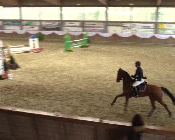 Reitturnier Goch 2016