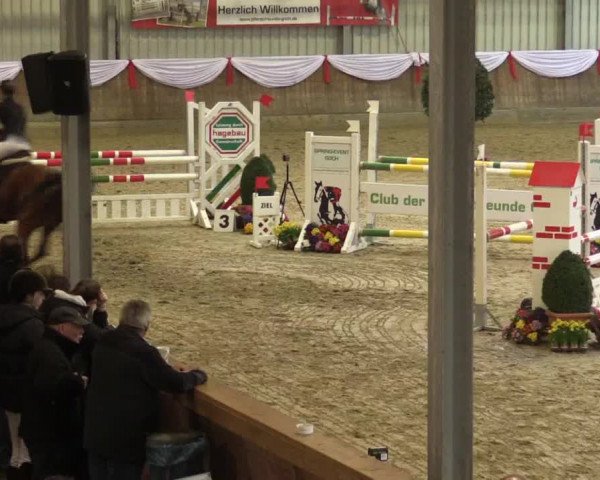 Reitturnier Goch 2016