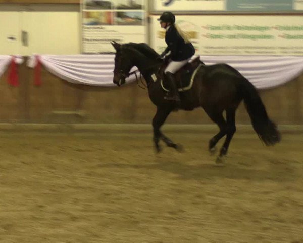 Reitturnier Goch 2016
