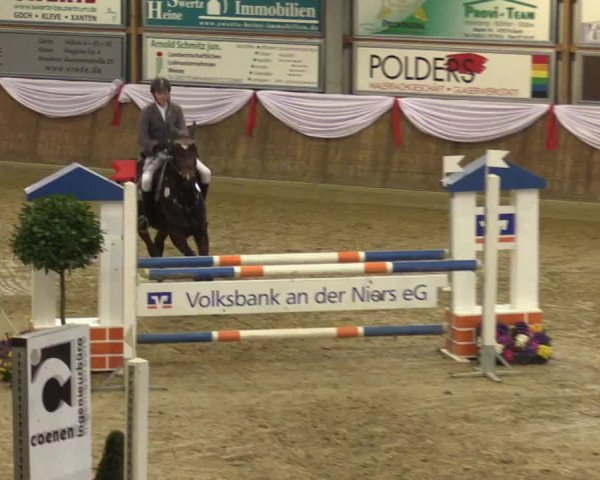 Reitturnier Goch 2016