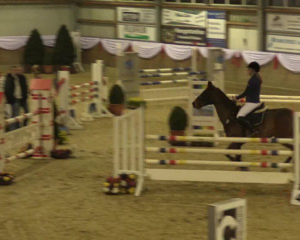Reitturnier Goch 2016