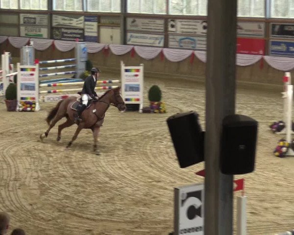 Reitturnier Goch 2016