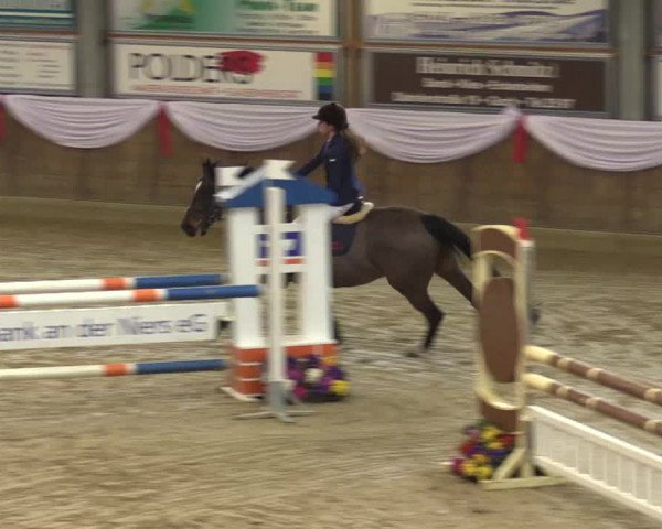 Reitturnier Goch 2016